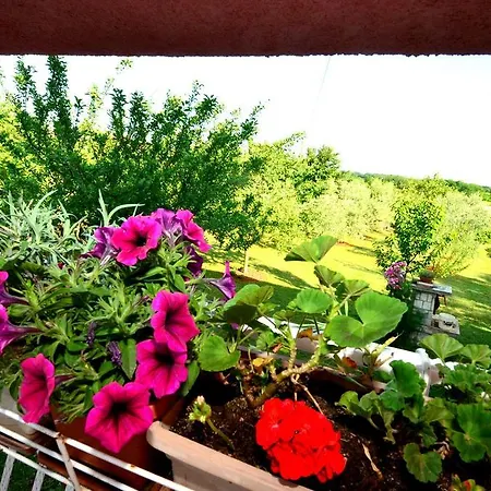 Appartement Lenny Umag